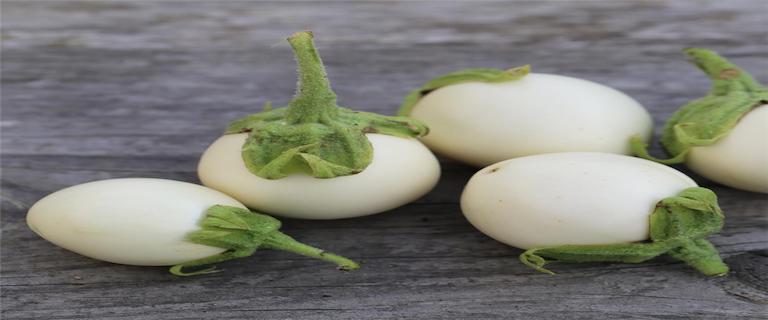 Légumes